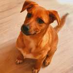 Ersteller:in Yannik Profilbild