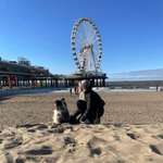 Ersteller:in Monique Profilbild