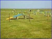 Hundeauslaufgebiet-Strand Neßmersiel-Bild