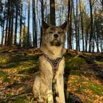 Ersteller:in Jochen Profilbild