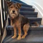 Ersteller:in Tanja Profilbild