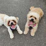 Ersteller:in Angelika Profilbild