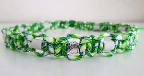 EM Schmuckhalsband-Beitrag-Bild