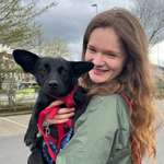 Ersteller:in Ronja Profilbild