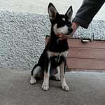 Ersteller:in Yvonne Profilbild