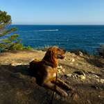 Ersteller:in Mia Profilbild