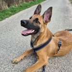 Ersteller:in Raquel Profilbild