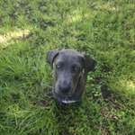 Ersteller:in Tarek Profilbild