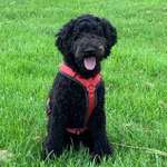 Ersteller:in Amelie Profilbild