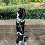 Ersteller:in Larissa Profilbild