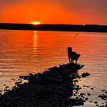 Hundeauslaufgebiet-Nordost Ufer Ammersee-Bild