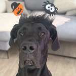 Ersteller:in Joy Maria Profilbild