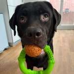 Ersteller:in Kat Profilbild