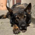 Ersteller:in Silvia Profilbild