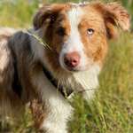 Ersteller:in Kim Profilbild