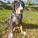 Ersteller:in Christiane Profilbild