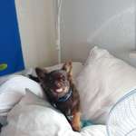 Ersteller:in Mireia Profilbild