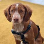 Ersteller:in Patresia Profilbild