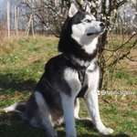 Ersteller:in Anika Profilbild