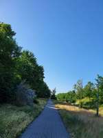 Hundeauslaufgebiet-Spindlersfelder Brücke-Bild