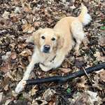 Ersteller:in Carina Profilbild