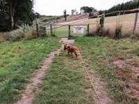 Hundeauslaufgebiet-Campimgplatz Lister-Bild