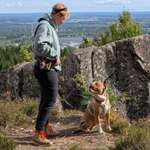 Ersteller:in Carolin Profilbild