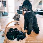 Ersteller:in Miriam Profilbild