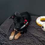 Ersteller:in Ramona Profilbild