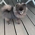 Ersteller:in Alicia Profilbild