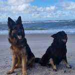 Ersteller:in Heike Profilbild