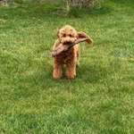 Ersteller:in Stefanie Profilbild