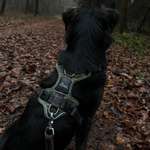 Ersteller:in Ronja Profilbild