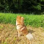 Ersteller:in Coline Profilbild