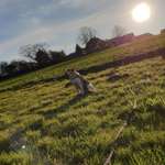 Ersteller:in Michele Profilbild