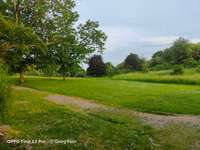 Hundeauslaufgebiet-Dorneburger Park-Bild