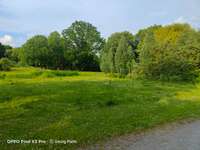 Hundeauslaufgebiet-Dorneburger Park-Bild