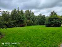 Hundeauslaufgebiet-Park Königsgrube-Bild