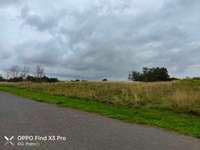 Hundeauslaufgebiet-Park Königsgrube-Bild