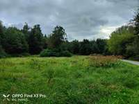 Hundeauslaufgebiet-Park Königsgrube-Bild