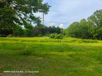 Hundeauslaufgebiet-Dorneburger Park-Bild