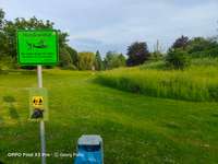 Hundeauslaufgebiet-Dorneburger Park-Bild