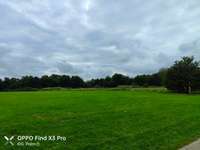 Hundeauslaufgebiet-Park Königsgrube-Bild