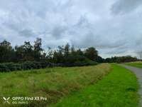 Hundeauslaufgebiet-Park Königsgrube-Bild