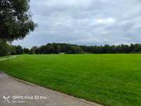 Hundeauslaufgebiet-Park Königsgrube-Bild