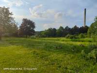 Hundeauslaufgebiet-Dorneburger Park-Bild