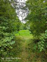 Hundeauslaufgebiet-Park Königsgrube-Bild