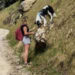 Ersteller:in Vanessa Profilbild