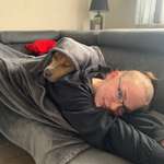 Ersteller:in Lara Profilbild