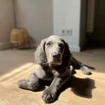 Ersteller:in Silke Profilbild